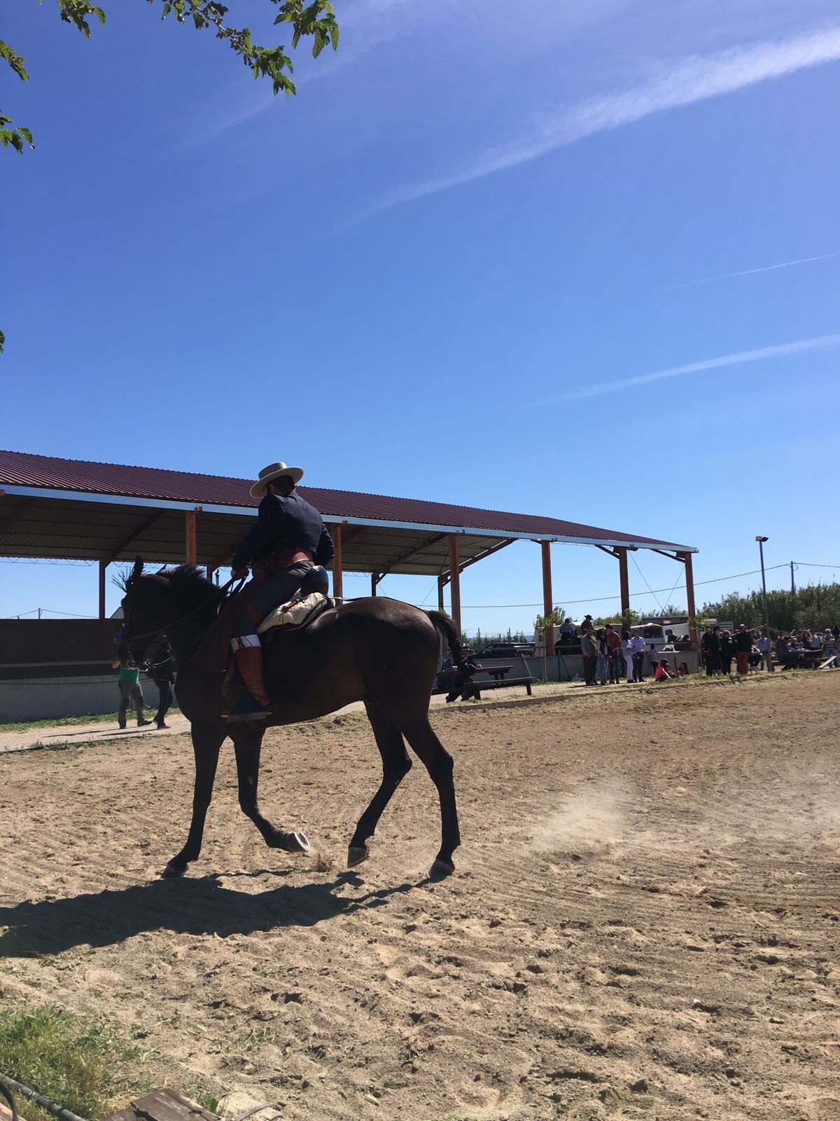 Resultados Campeonato Navarro de Doma Vaquera Interautonomías Aragón - Navarra en el Club Hípico la Quinta del Viento